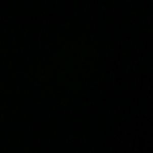 Meet your Posher, Ash!